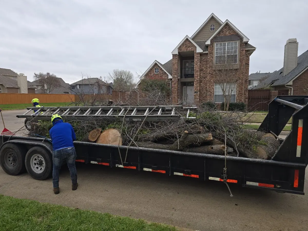 Expert Tree Fertilization with proper safety equipment in Thornton
